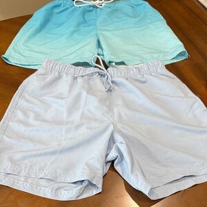 Light Blue and Aqua Swim Shorts